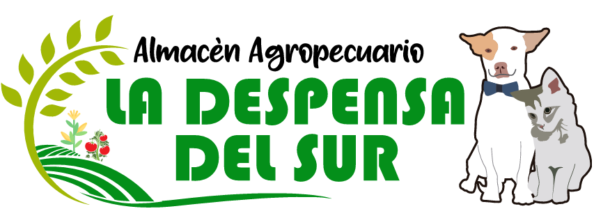 JUELA PALTA GINA VANESSA