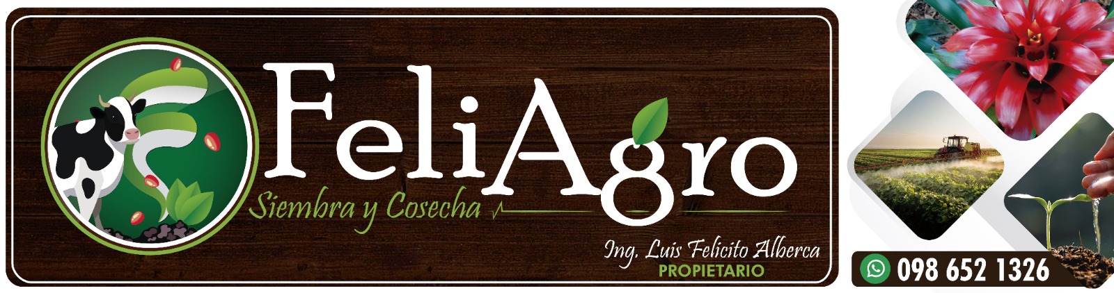 FELI AGRO (Sucursal)